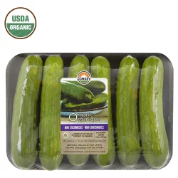 SUNSET Organics Biologiques Mini Cucumbers