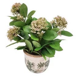 Haven + Key Allium Faux Botanical Plant in Ceramic Pot