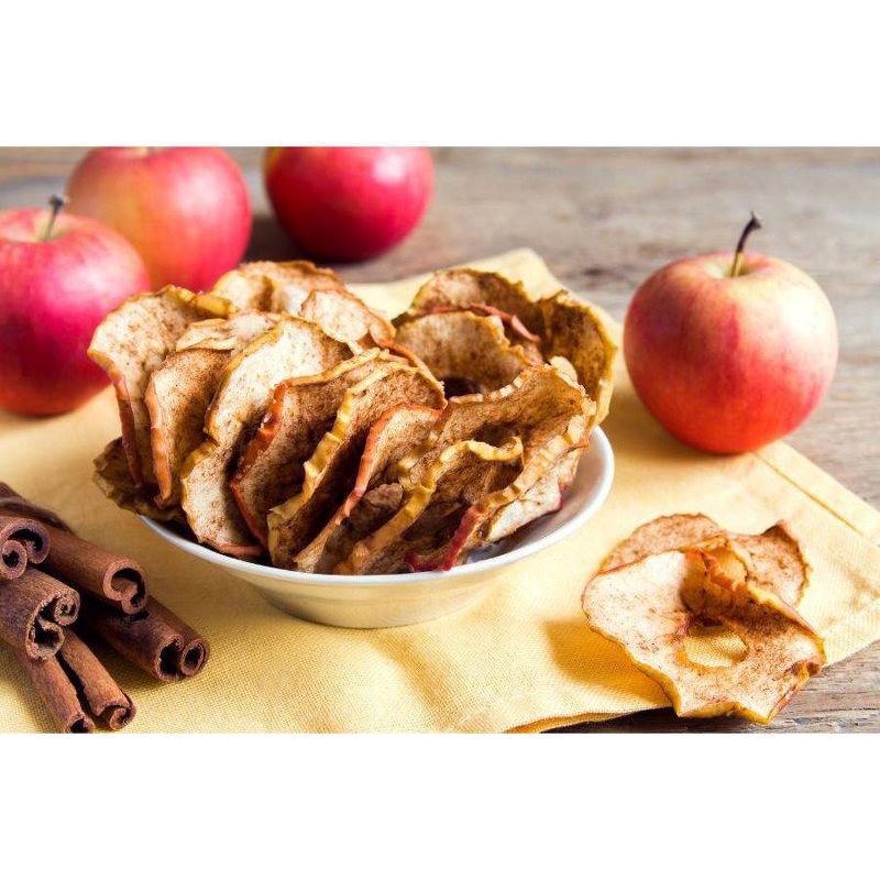 slide 2 of 4, Dried Unsweetened Cinnamon Apple Chips - 2.25oz, 2.25 oz