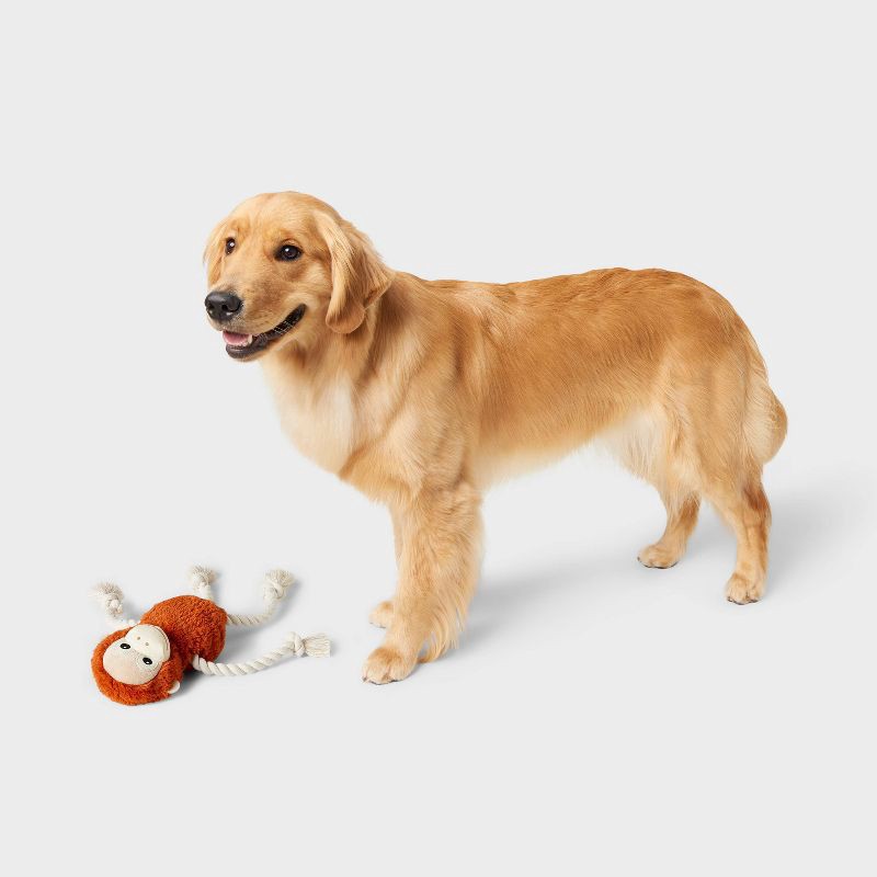 slide 2 of 4, Monkey Plush with Rope Dog Toy - 14" - Boots & Barkley™, 1 ct
