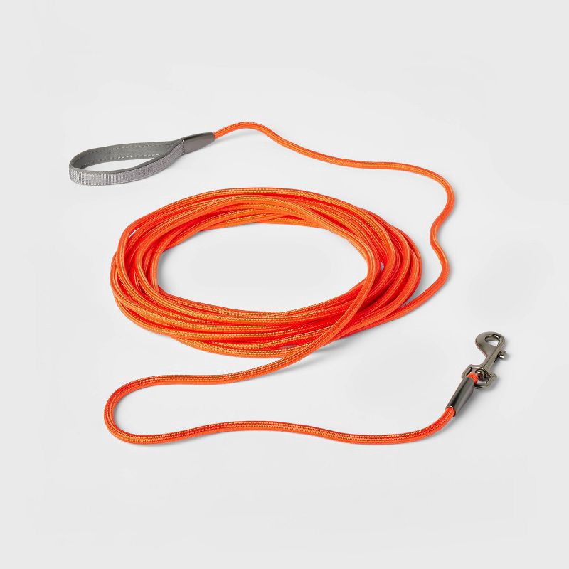 slide 2 of 3, Training Dog Leash - 30" - Red - Boots & Barkley™, 1 ct