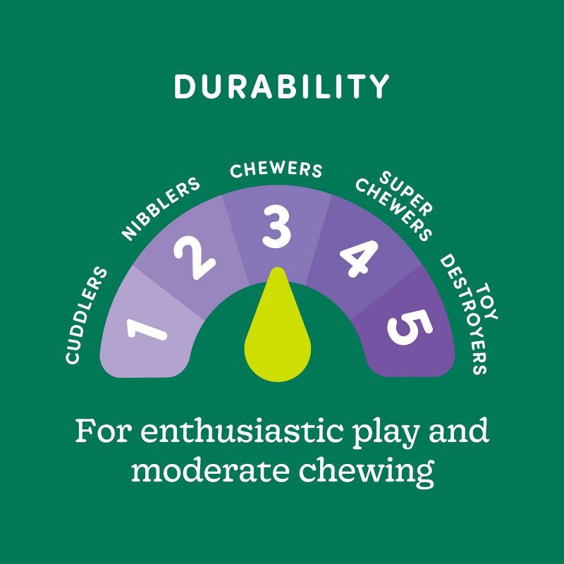 slide 4 of 4, Nubby Seaweed Rubber Tough Chew Bone Dog Toy - Boots & Barkley™, 1 ct