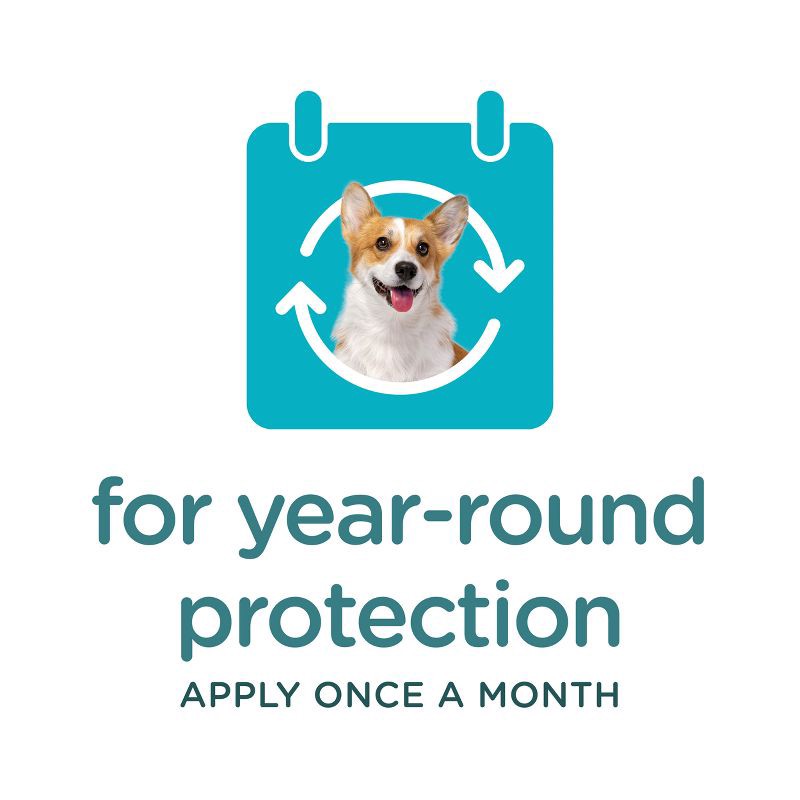 slide 6 of 8, Sergeant's Guardian Pro Flea & Tick Topical Treatment for Dogs - 66 lbs and Over - 3ct, 3 ct; 66 lb