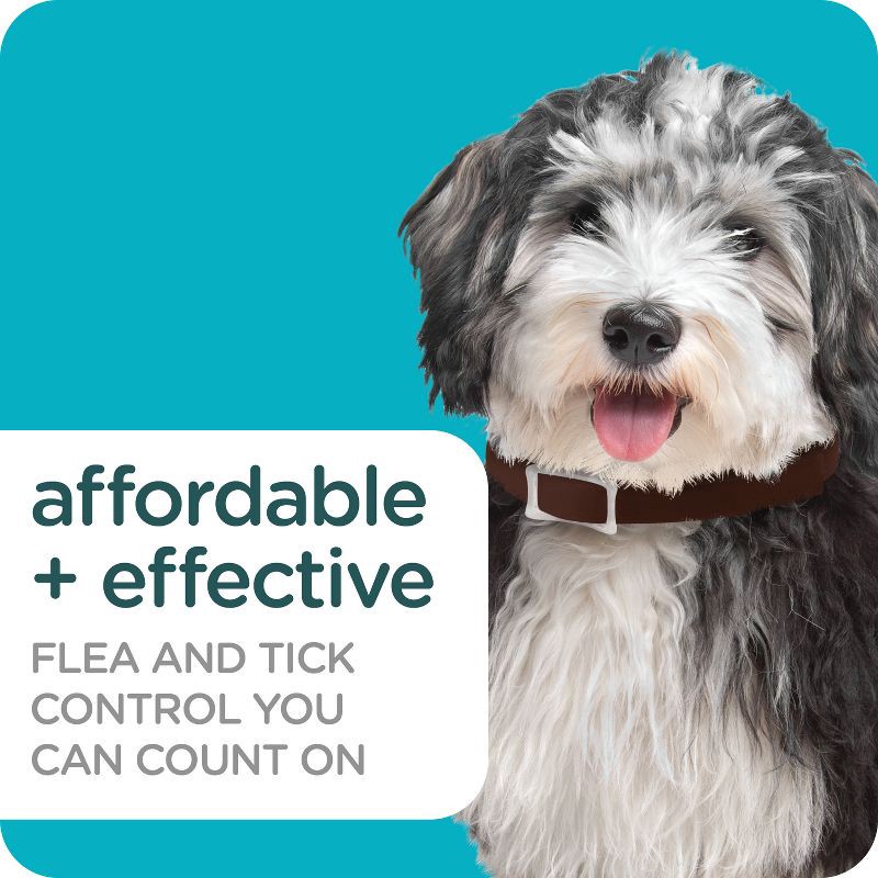 slide 2 of 5, Sergeant's Guardian Pro Flea & Tick Treatment Collar for Dogs, 1 ct