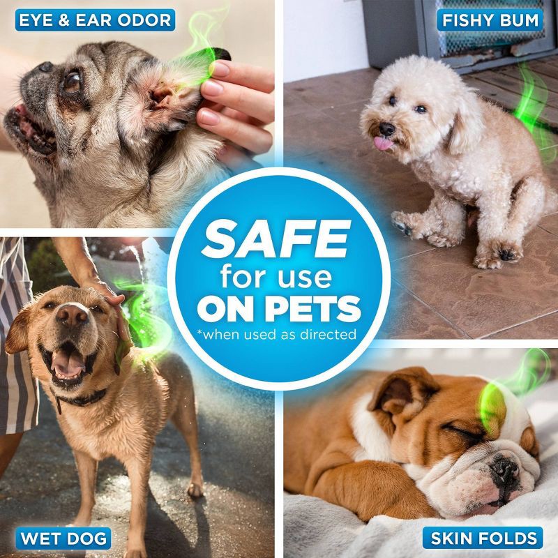 slide 8 of 12, Pooph Dog Odor & Stain Eliminator - 20 fl oz, 20 fl oz