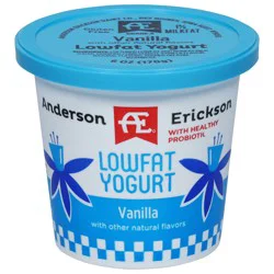 Anderson Erickson Dairy Dairy Low Fat Vanilla Yogurt 6 oz