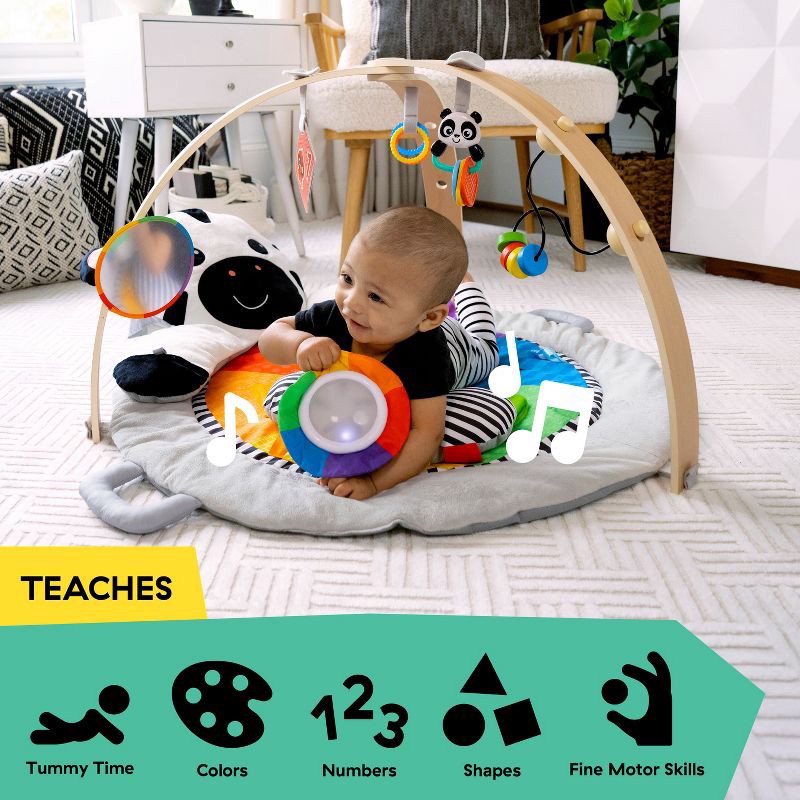 slide 4 of 14, Baby Einstein Zen's Activity Milestones Plush Gym Playmat, 1 ct