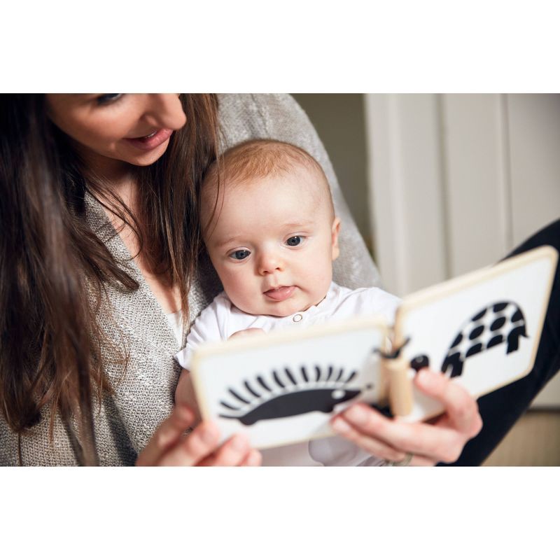 slide 15 of 18, Lovevery Play Kit Baby Learning Toy, 1 ct