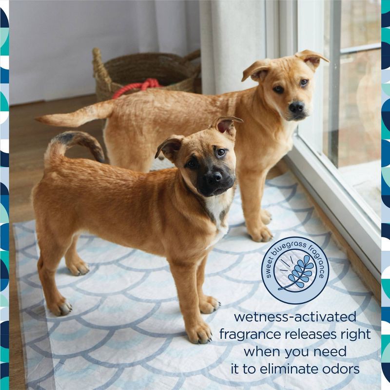 slide 3 of 6, Pet Life Unlimited Puppy Smart Prints Training Dog Pads - XXL - 30ct, 30 ct