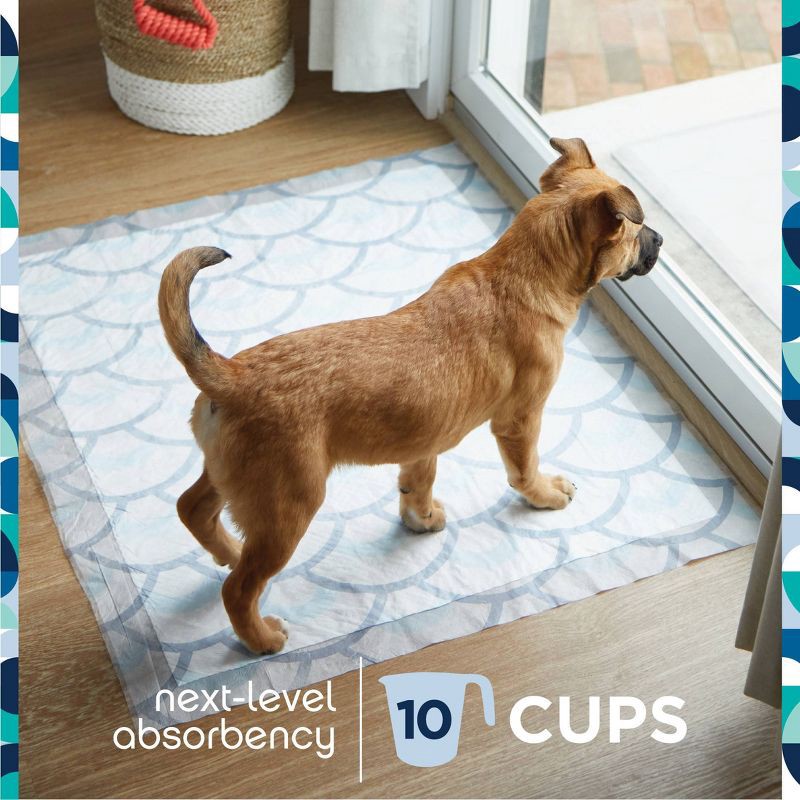 slide 4 of 6, Pet Life Unlimited Puppy Smart Prints Training Dog Pads - XXL - 30ct, 30 ct