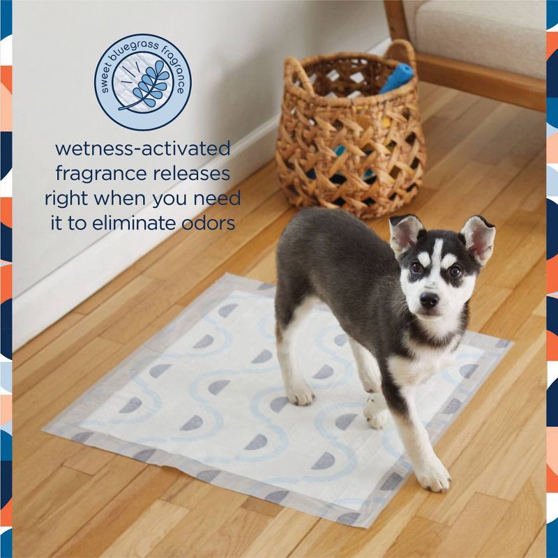 slide 3 of 6, Pet Life Unlimited Puppy Smart Prints Training Dog Pads - L - 40ct, 40 ct