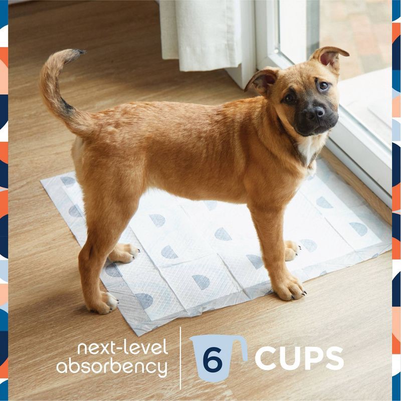 slide 4 of 6, Pet Life Unlimited Puppy Smart Prints Training Dog Pads - L - 40ct, 40 ct