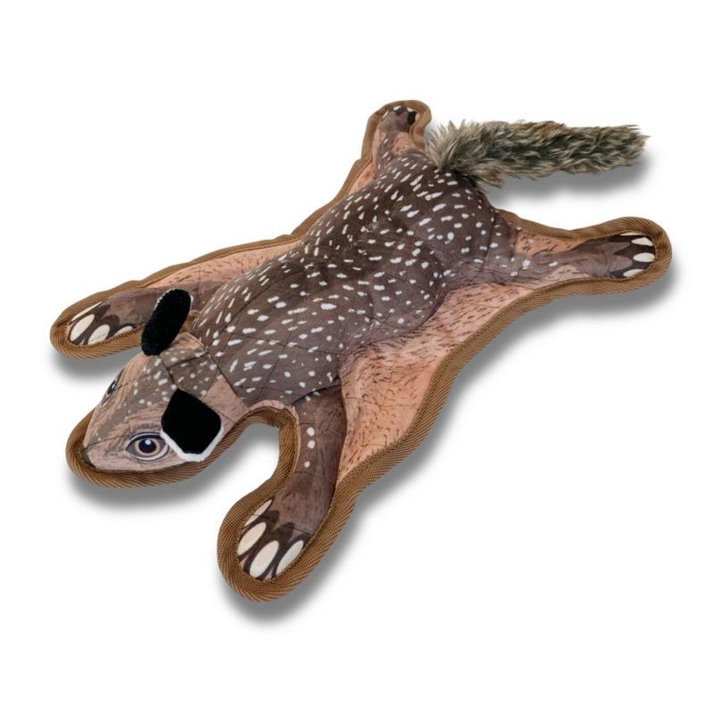 slide 2 of 5, Pawprintz Squirrel Dog Toy, 1 ct