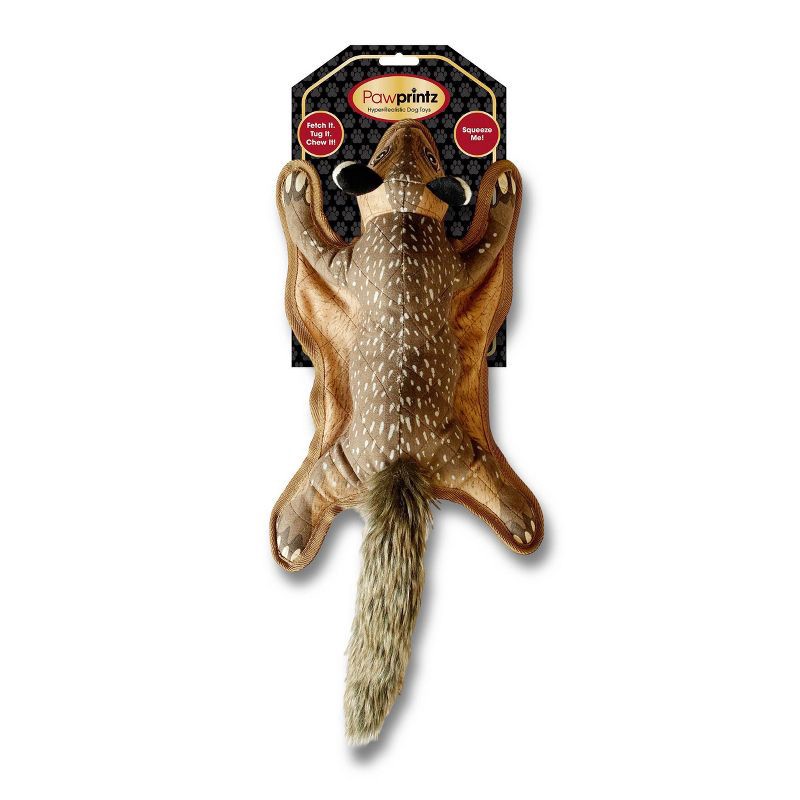 slide 1 of 5, Pawprintz Squirrel Dog Toy, 1 ct
