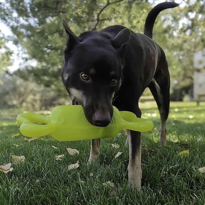 slide 3 of 3, KONG Jumbler Tug Dog Toy - S/M, 1 ct