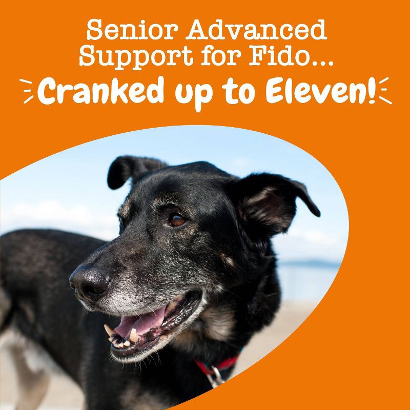 slide 4 of 5, Zesty Paws Senior Advanced 11-in-1 Multivitamin Bites for Dog Chicken Flavor - 60ct, 60 ct