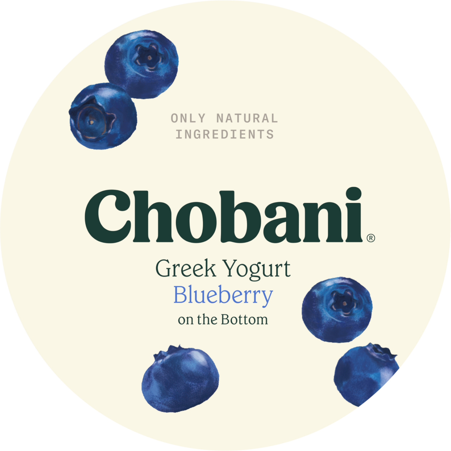 slide 4 of 5, Chobani Yogurt, Nonfat, Greek, Blueberry, 5.3 oz