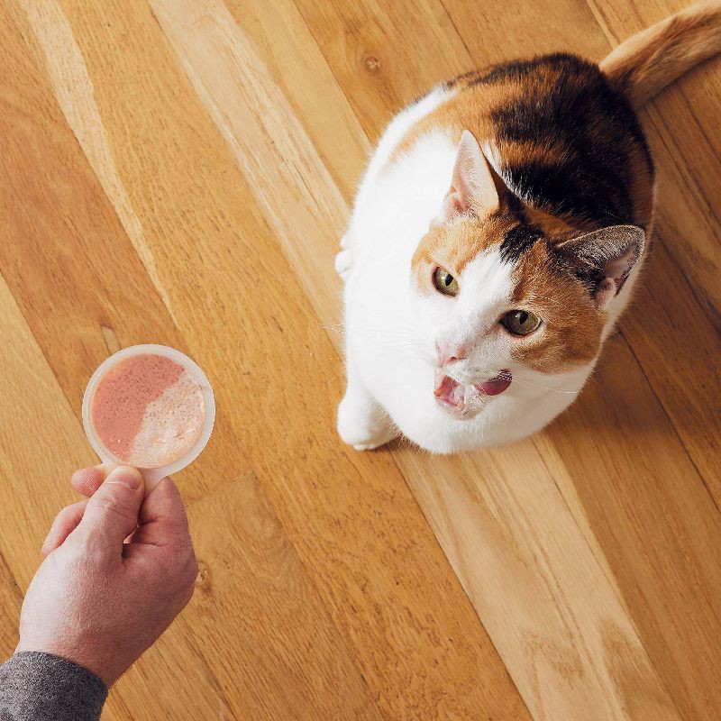 slide 9 of 11, Temptations Cat Treats Lickable Spoons with Chicken and Salmon - 1.41/4ct, 1.41/4 ct