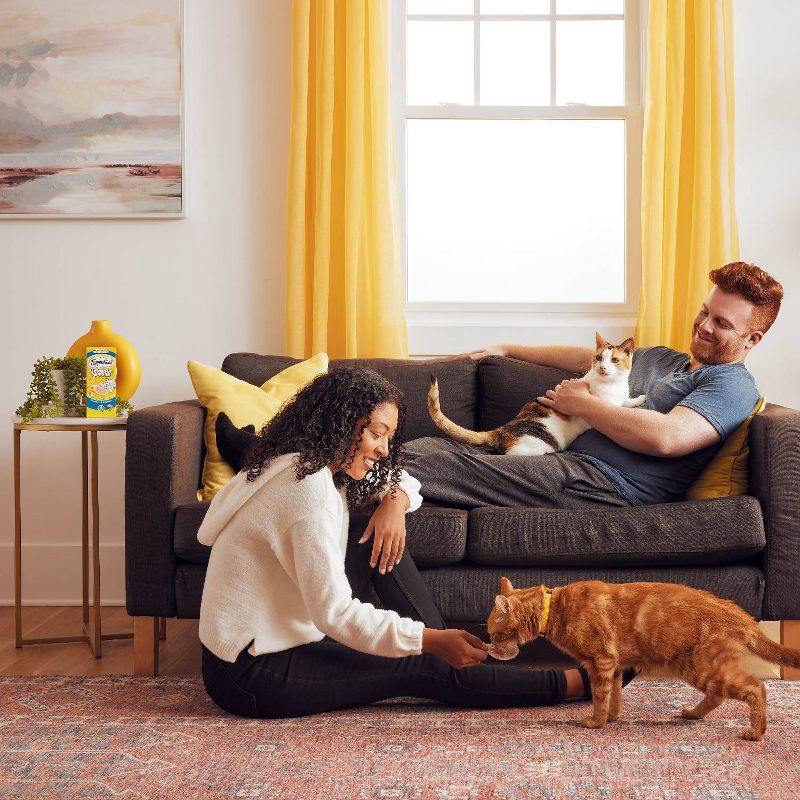 slide 10 of 11, Temptations Cat Treats Lickable Spoons with Chicken and Salmon - 1.41/4ct, 1.41/4 ct