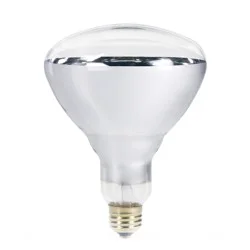 Philips BR40 Heat Lamp 250-watt Incandescent 2700 K Light Bulb