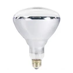 Philips BR40 Heat Lamp 250-watt Incandescent 2700 K Light Bulb