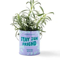 Modern Sprout Lavender Complimentary Color Grow Stay Zen Friend Seed Starter Kit
