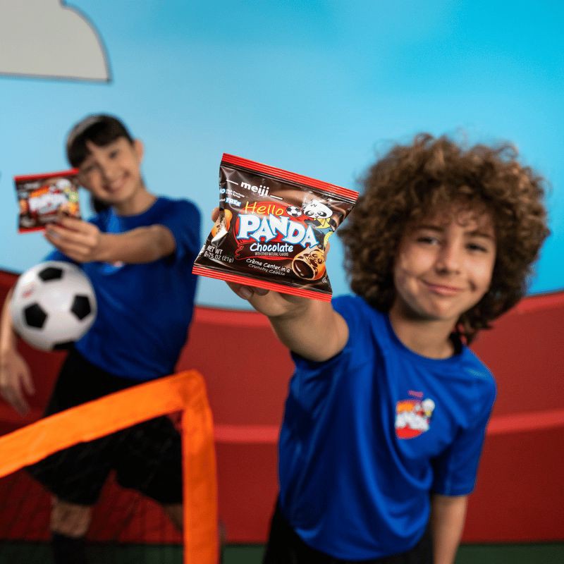 slide 7 of 10, Hello Panda Chocolate Snack Box - 9oz/12ct, 12 ct; 9 oz