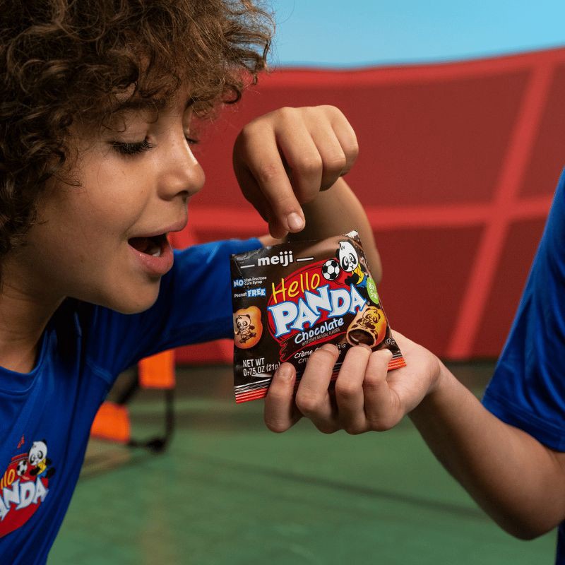 slide 8 of 10, Hello Panda Chocolate Snack Box - 9oz/12ct, 12 ct; 9 oz