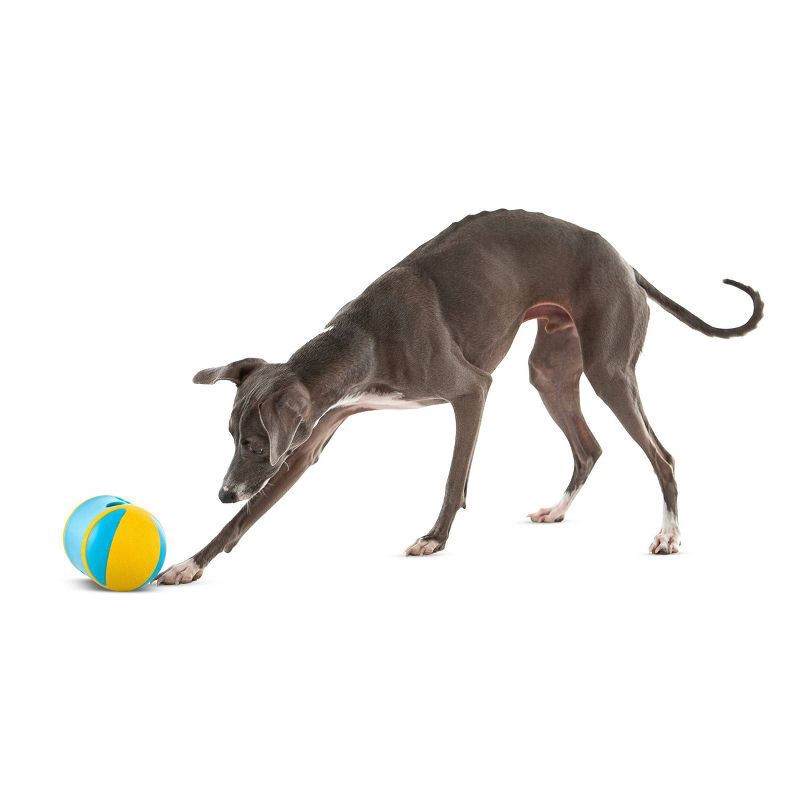 slide 4 of 6, Guru Rock N Treat Dspnsr, 1 ct