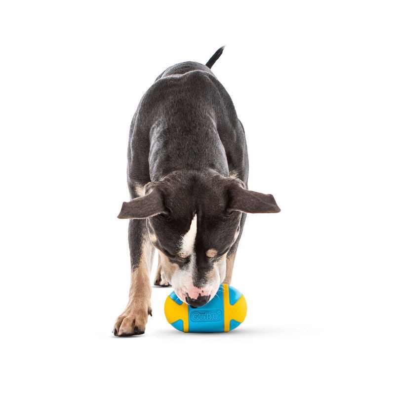 slide 5 of 6, Guru Rock N Treat Dspnsr, 1 ct