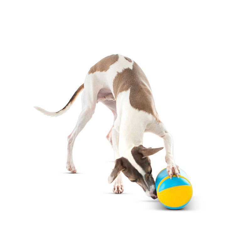 slide 2 of 6, Guru Rock N Treat Dspnsr, 1 ct