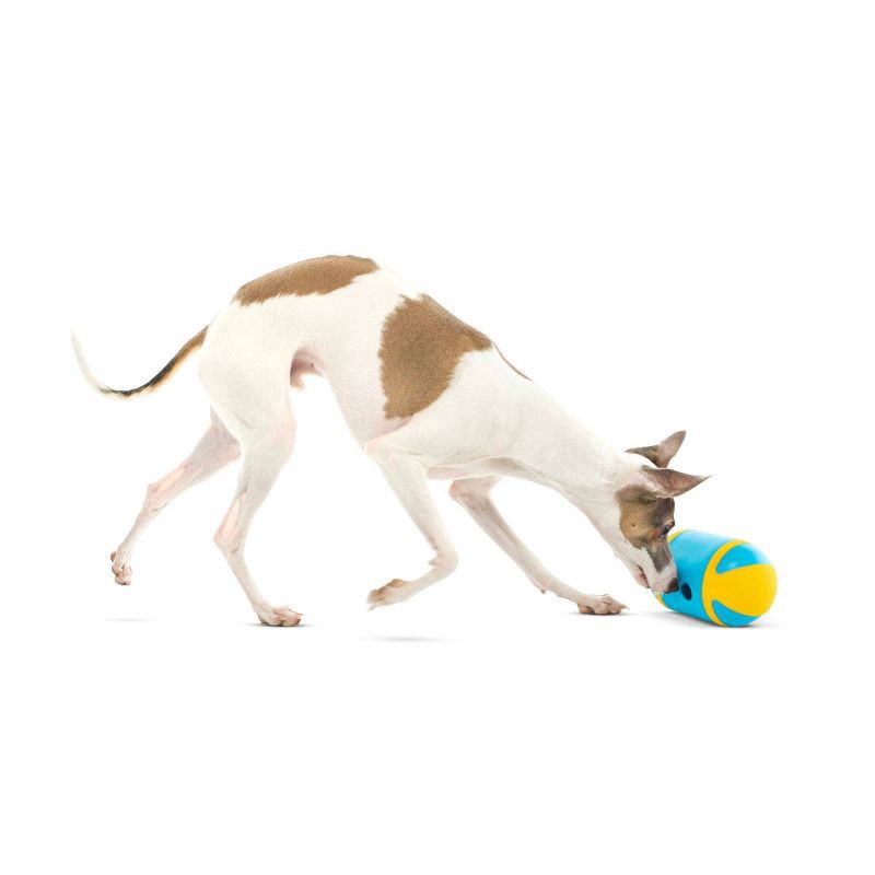 slide 3 of 6, Guru Rock N Treat Dspnsr, 1 ct