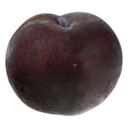 Organic Black Plum
