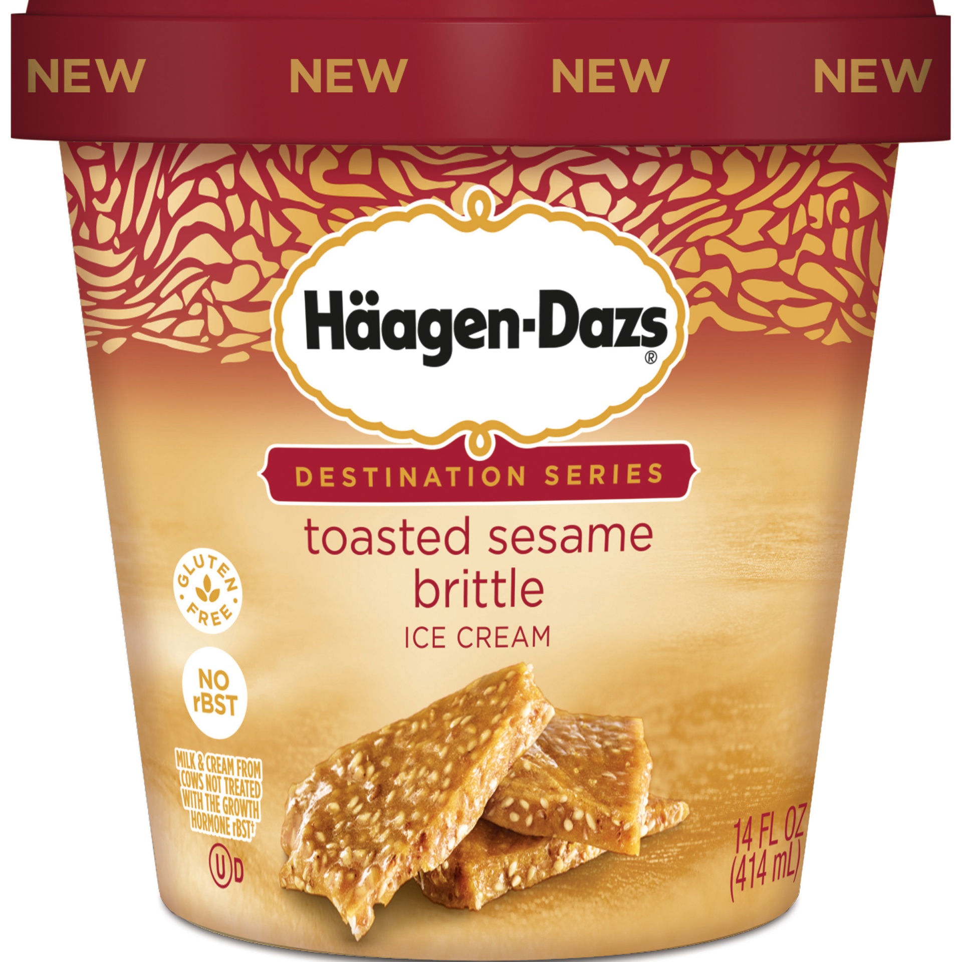 slide 1 of 1, Häagen-Dazs Destination Series Ice Cream, Toasted Sesame Brittle, 14 fl oz