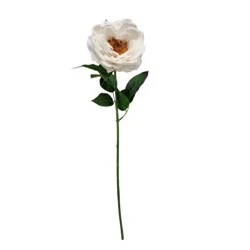Haven + Key White Rose Faux Botanical Spray