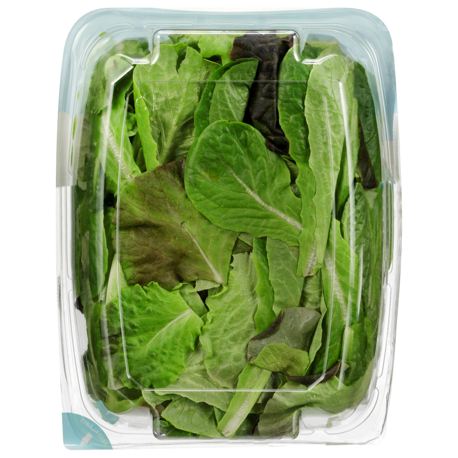 slide 2 of 4, OTHER-REGIONAL BACKYARD FARMS Fresh Leafy Greens, Romaine Lettuce Blend, 4 oz., 4 oz