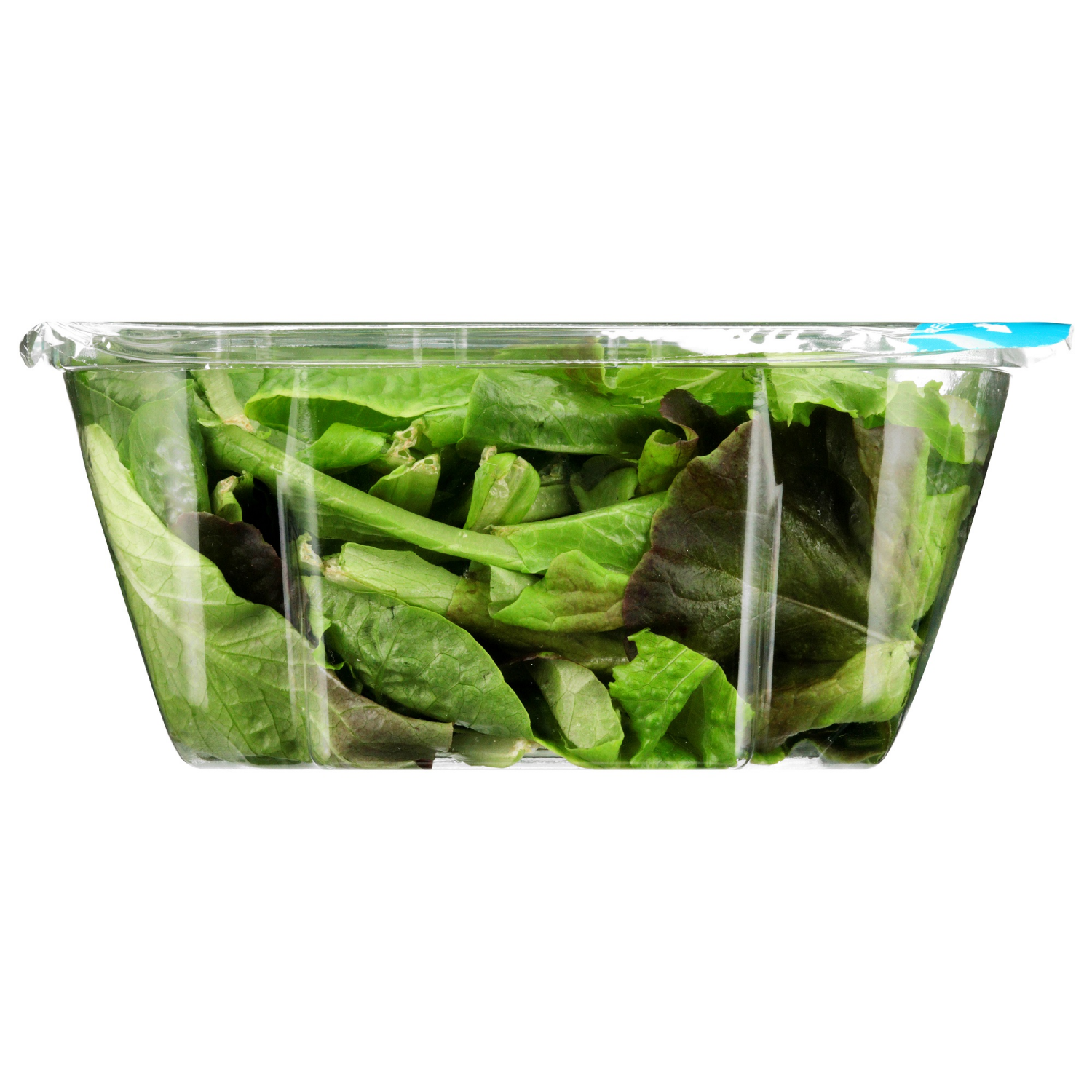 slide 3 of 4, OTHER-REGIONAL BACKYARD FARMS Fresh Leafy Greens, Romaine Lettuce Blend, 4 oz., 4 oz