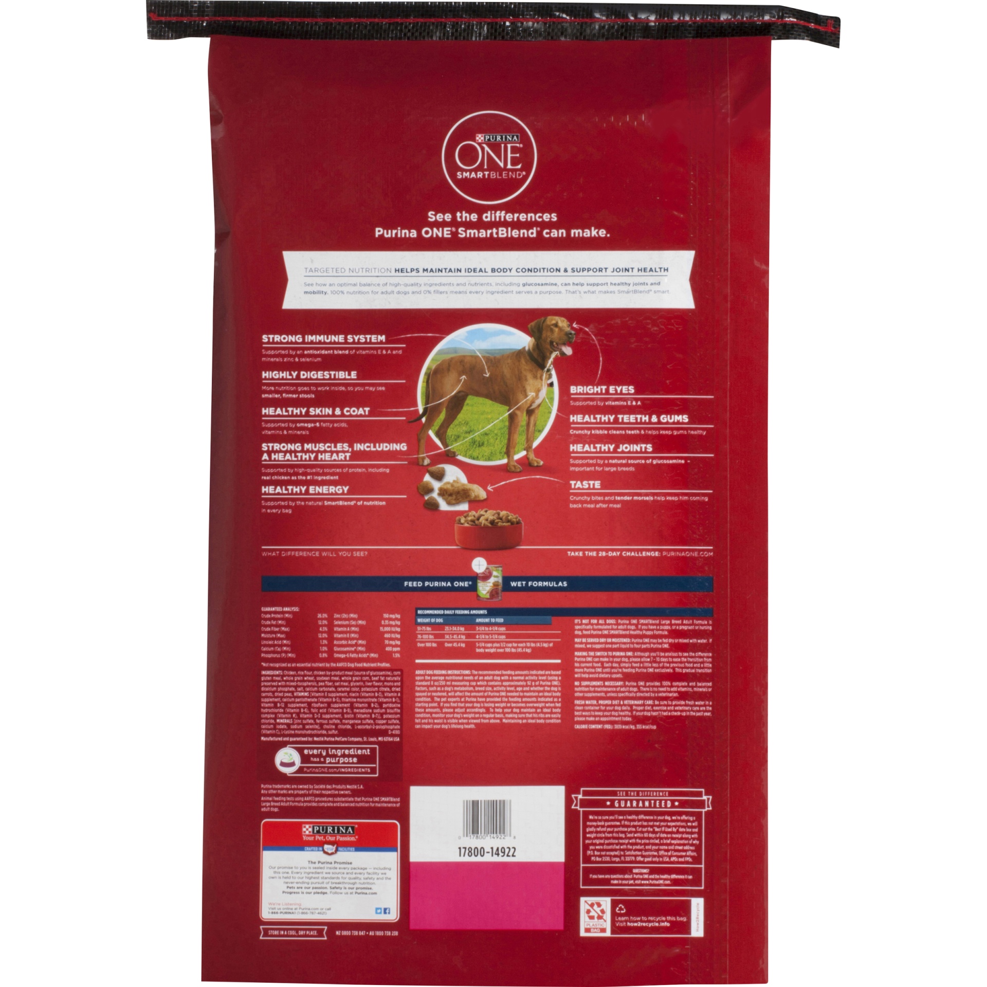 Purina ONE SmartBlend Natural Large Dry Dog Food