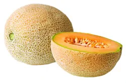 Melon Cantaloupe Athena