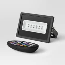 Color Selectable LED Halloween Novelty Flood Light with Remote and Kickstand - Hyde and EEK! Boutique™