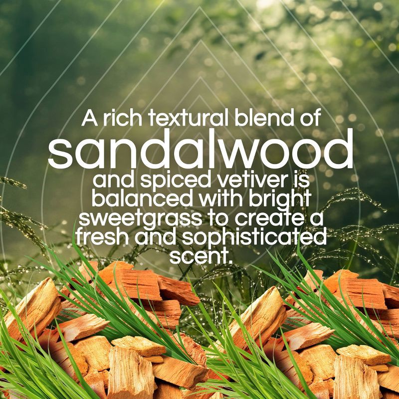 slide 4 of 9, Air Wick Vibrant Scented Oil Air Freshener Refills Sweetgrass & Sandalwood - 1.34 fl oz/2pk, 2 ct; 1.34 fl oz