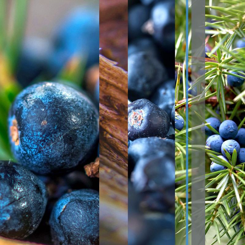 slide 2 of 13, Glade PlugIns Scented Oil Air Freshener Refills Juniper & Teak - 3.35 fl oz/5pk, 5 ct; 3.35 fl oz