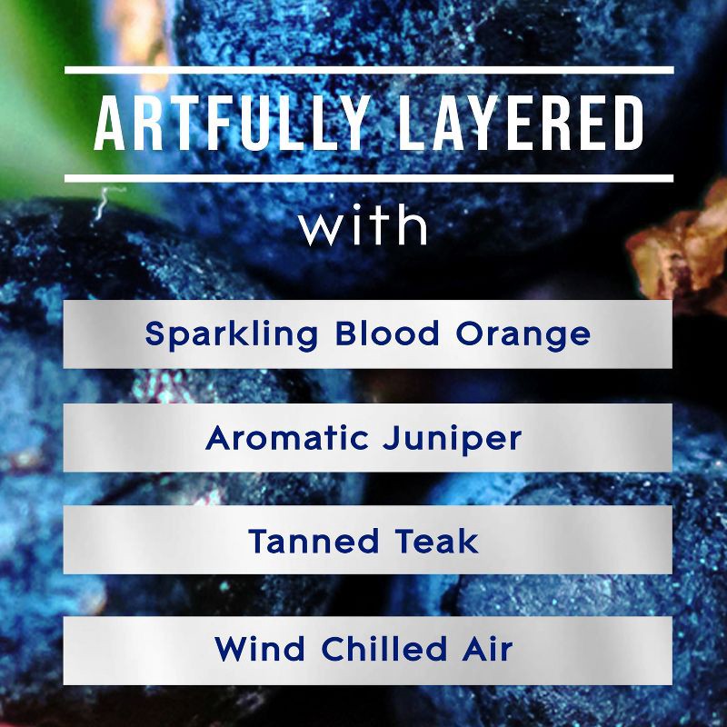 slide 6 of 13, Glade PlugIns Scented Oil Air Freshener Refills Juniper & Teak - 3.35 fl oz/5pk, 5 ct; 3.35 fl oz