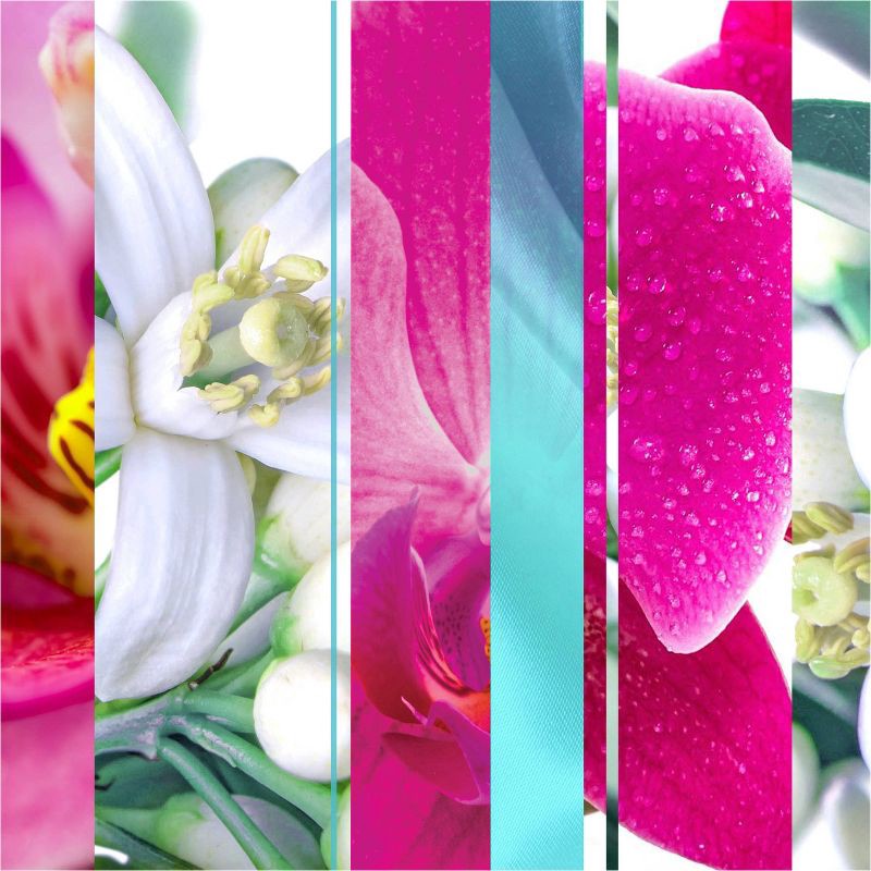 slide 2 of 14, Glade Automatic Spray Air Freshener Refill Orchid & Neroli - 6.2oz, 6.2 oz