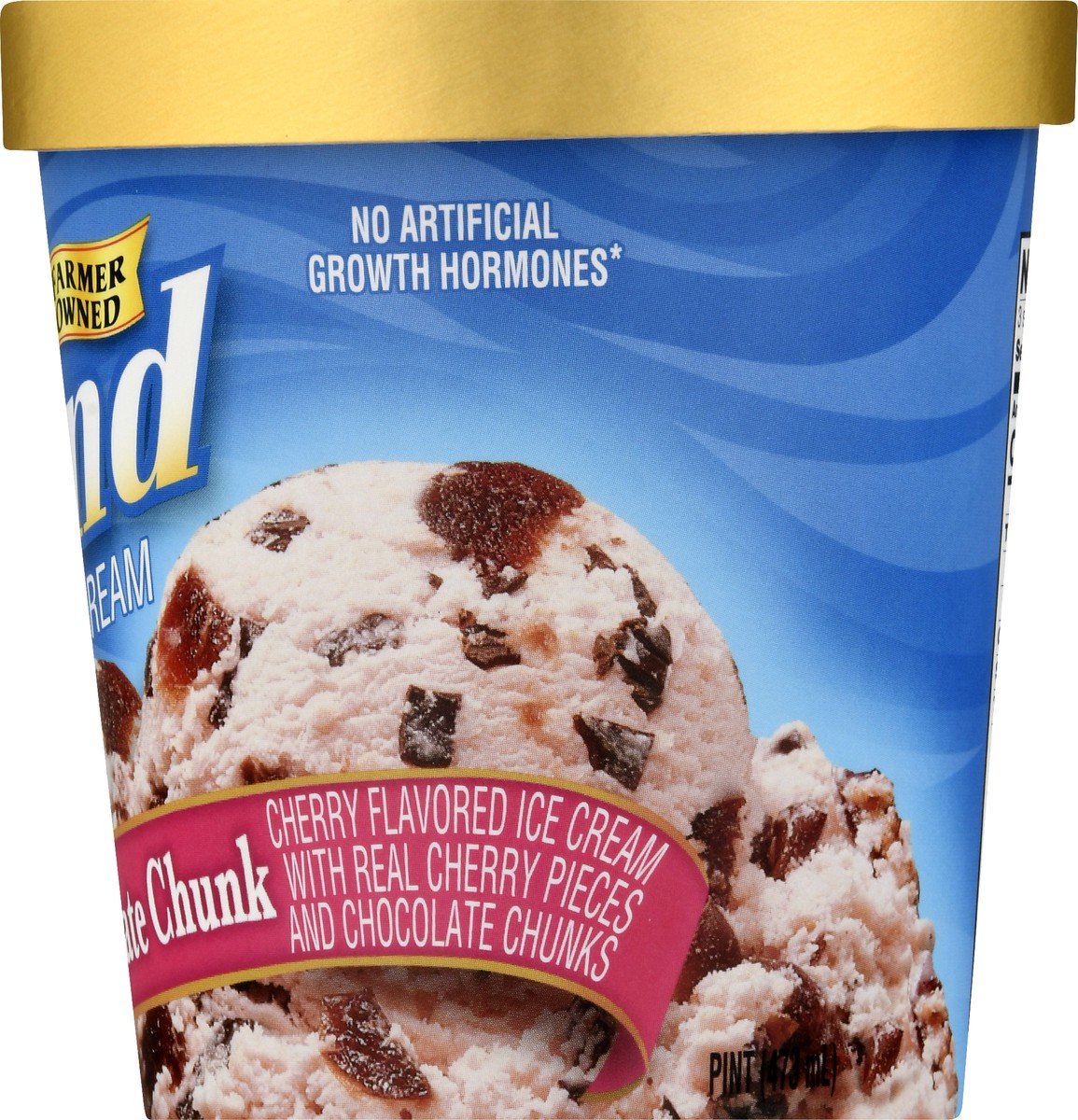 slide 7 of 13, Hiland Dairy Premium Cherry Chocolate Chunk Ice Cream 1 pt, 1 pint