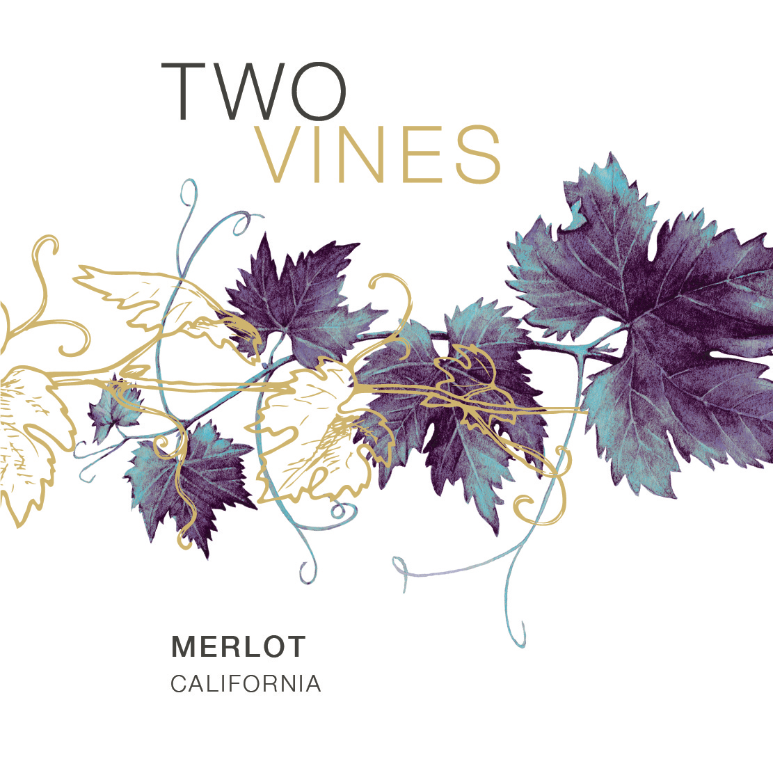 slide 2 of 2, Two Vines Merlot Red Wine, 750 mL, 750 ml