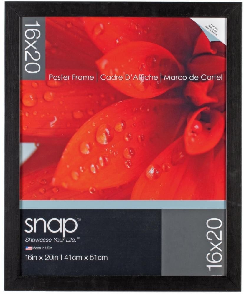 slide 1 of 1, Pinnacle Snap 16 X 20 Poster Frame - Black, 1 ct