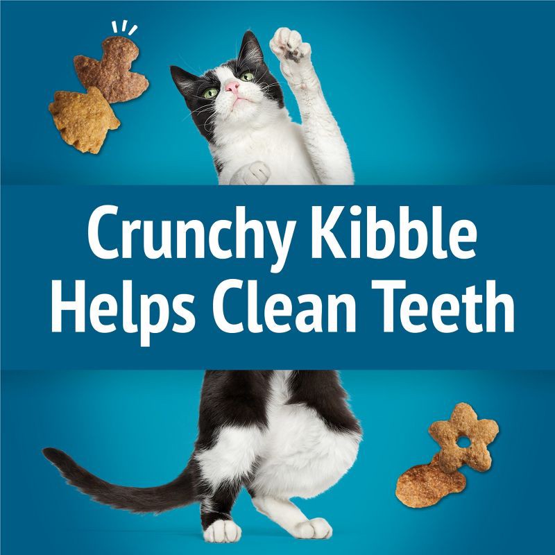 slide 5 of 11, Friskies All Ages Seafood Flavor Crunchy Cat Treats - 6oz, 6 oz