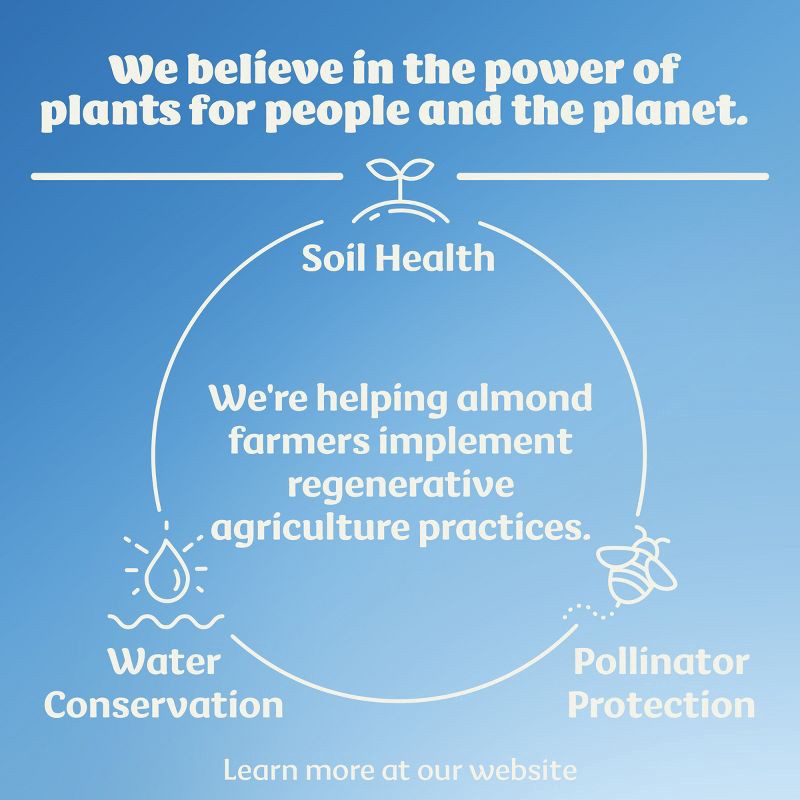 slide 3 of 10, Silk Almond Milk Protein Original - 59 fl oz, 59 fl oz