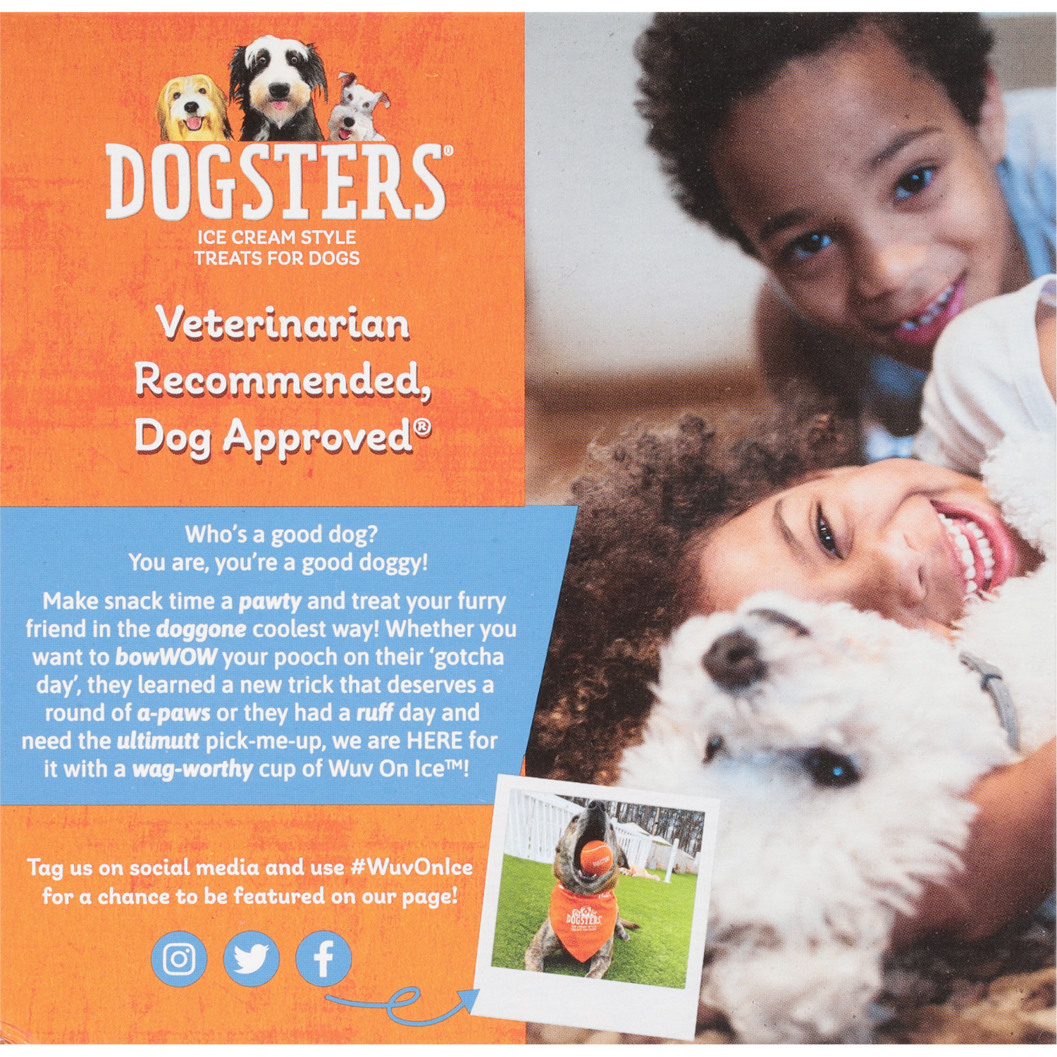 slide 3 of 4, Dogster's Ice Cream Style Nutly & Cheese Flavor Treats for Dogs 4 - 3.5 fl oz Cups, 4 ct